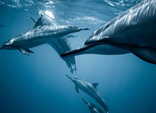 开云体育：以科技点燃体育的未来，让热爱从此无界